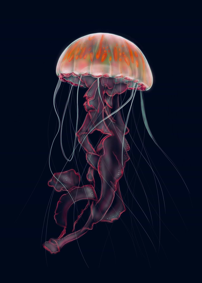 Orange Jellyfish