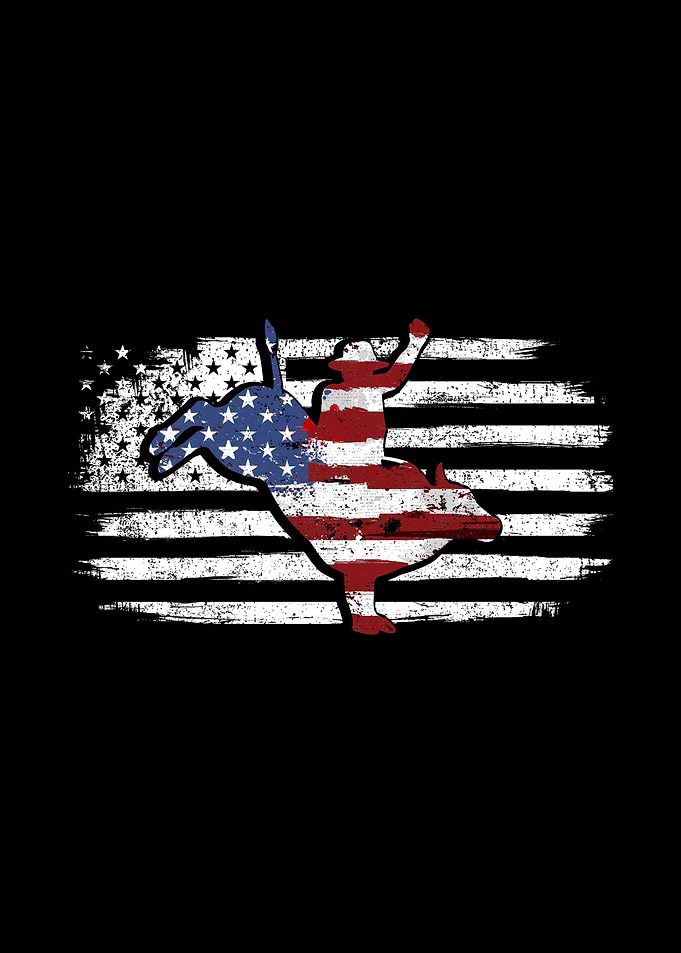 Bull Riding USA Flag