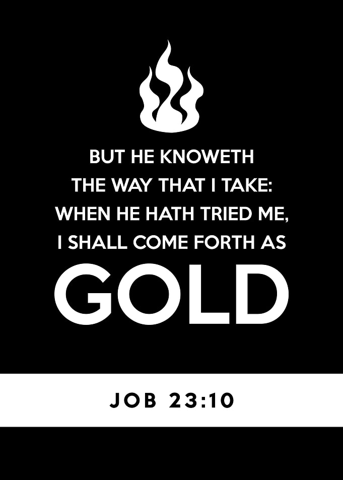 Job 23 10
