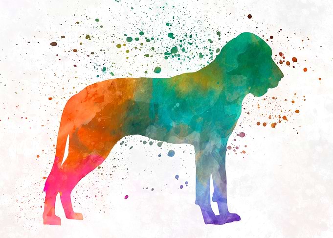 Great Gascony Blue