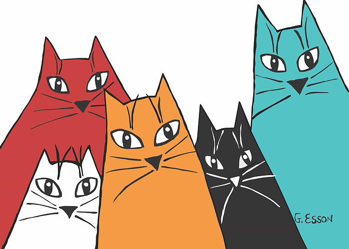 Five Fun Cats