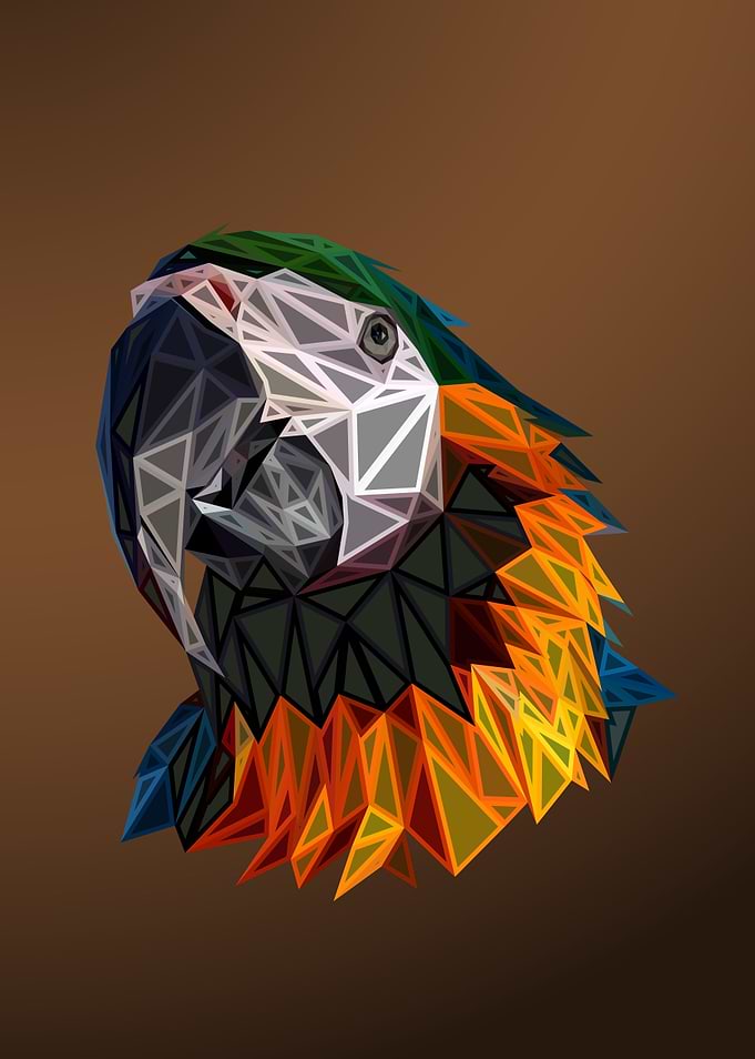 Macaw Engraved Portrait