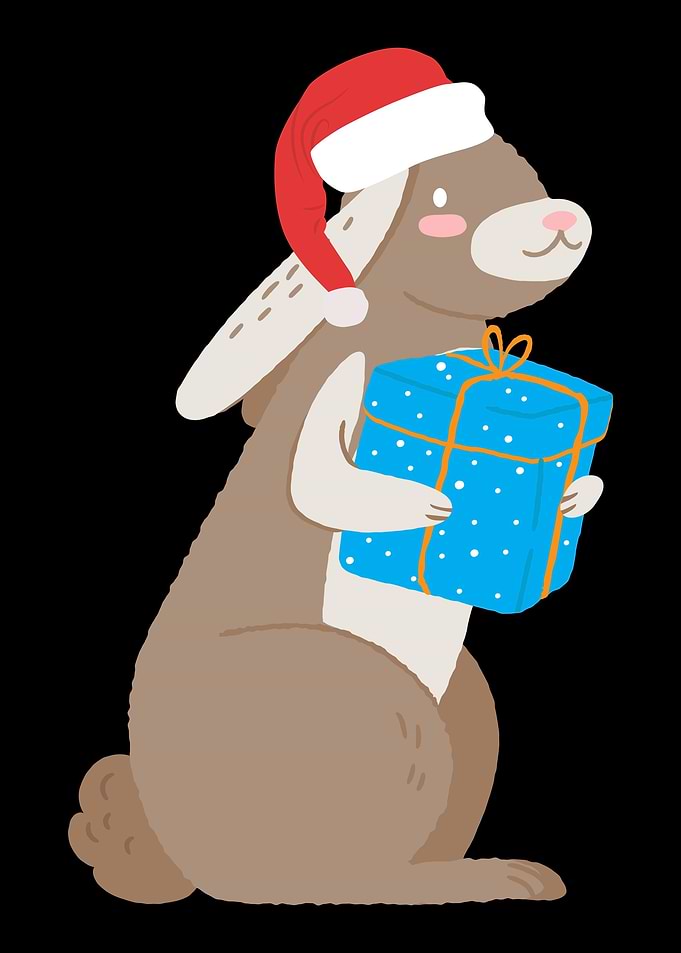 Christmas Geek Humor Santa