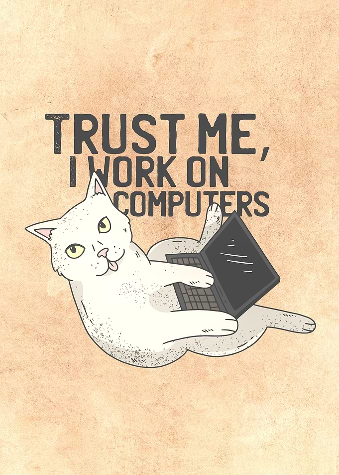 Programmer cat