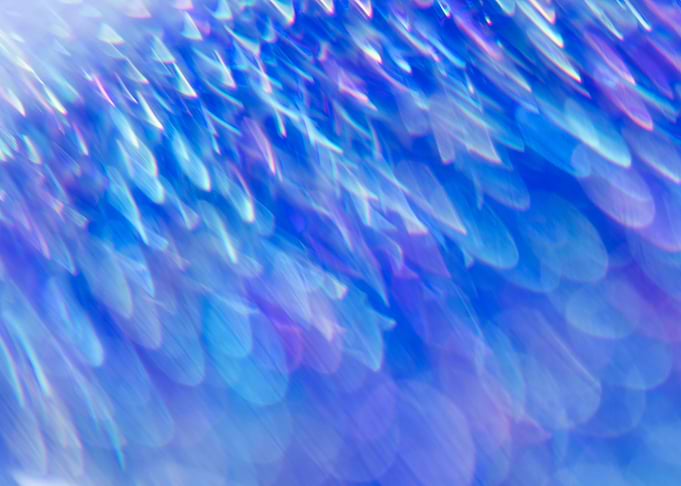Feathers and art