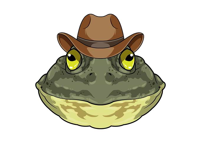 Frog Cowboy Hat