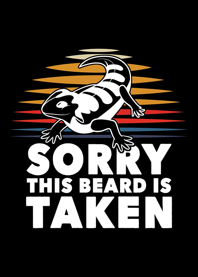 Bearded Dragon Reptile