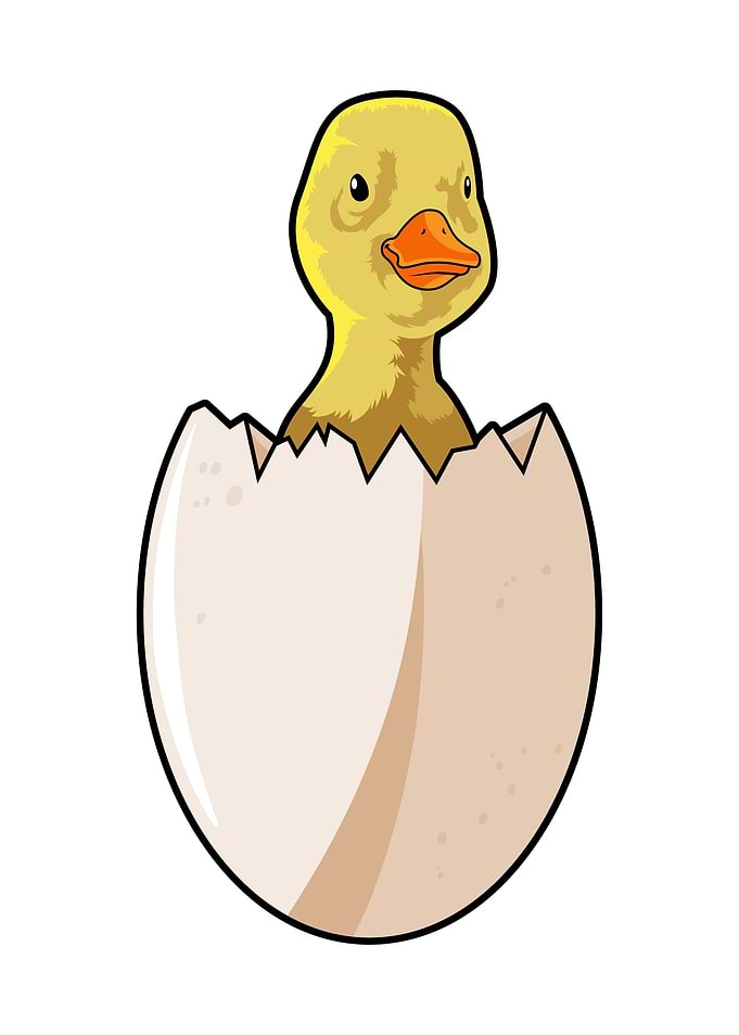 Duck Eggshell