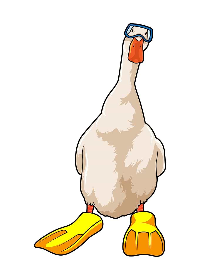 Duck Diver Flippers