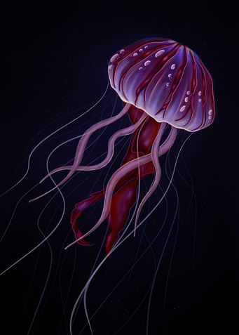 Luminous Jellyfish