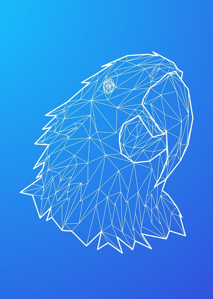 Macaw Portrait Wireframe
