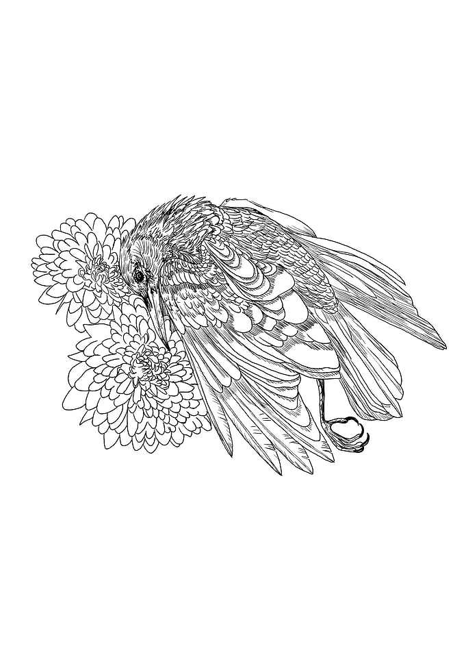 Crow Funeral