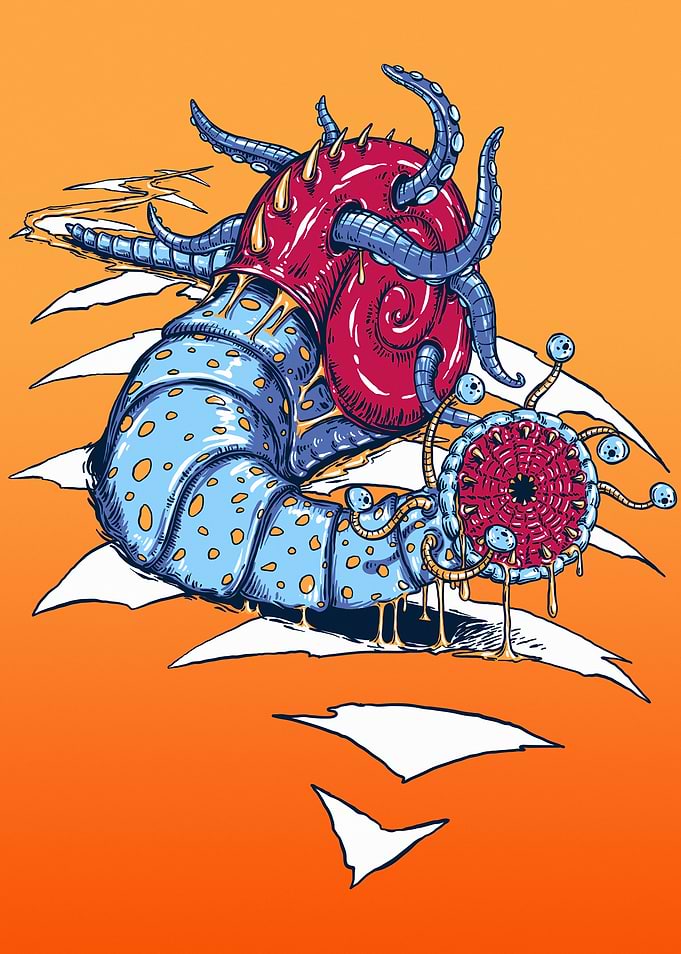 The Snail