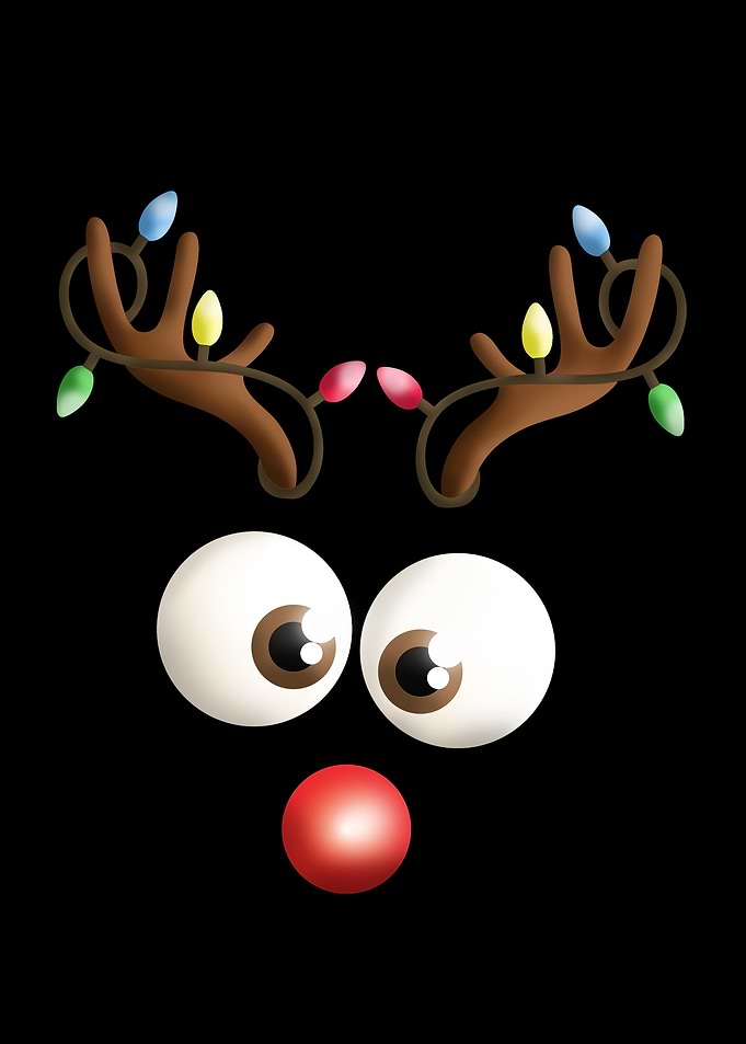 Christmas Reindeer Face