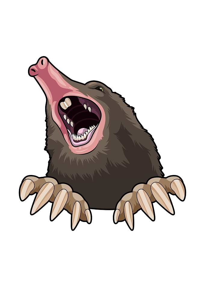 Angry Mole