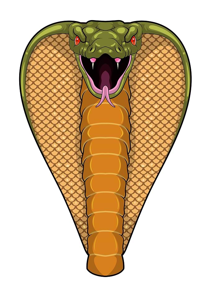 Cobra Head Snake