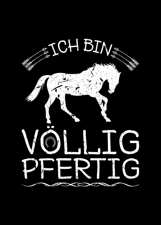 Reiterin Pfertig Reiten