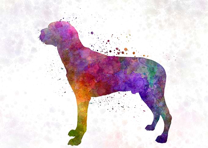 Hamiltonstovare dog