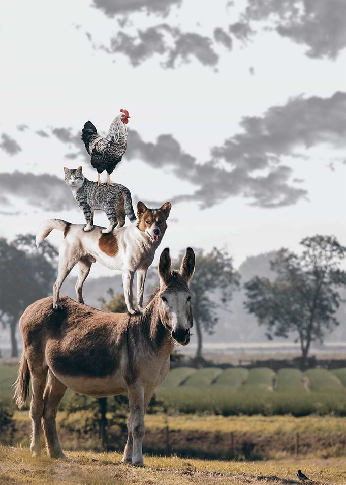 Pile of Animals
