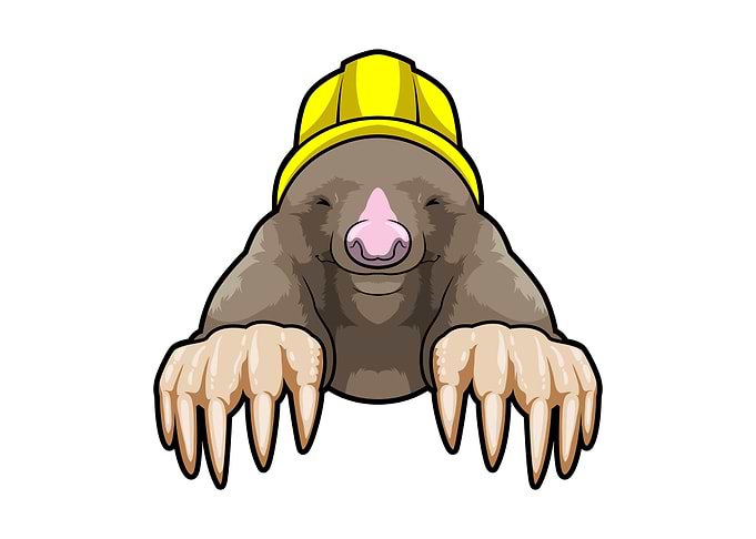 Mole Miner Helmet
