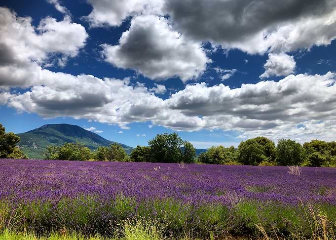 Plateau de Valensol Verdon