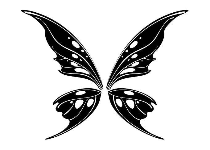 Fairycore Fairy Wings