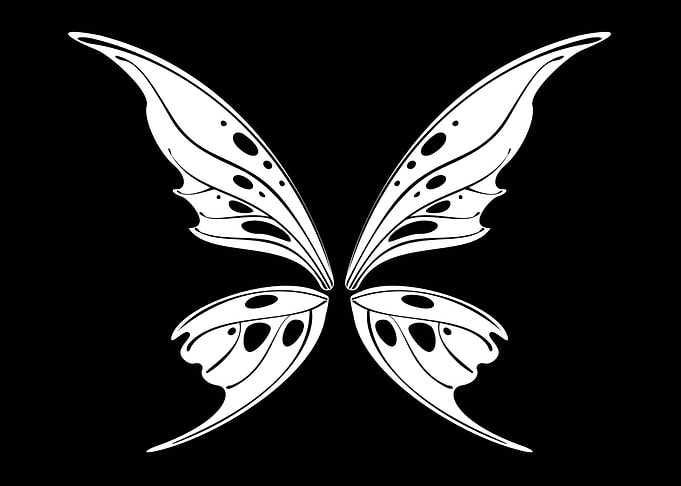 Fairycore Fairy Wings