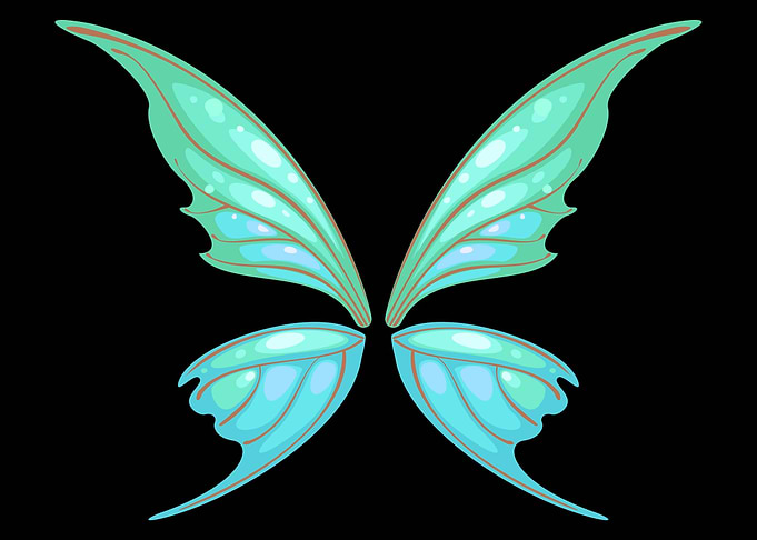 Fairycore Fairy Wings