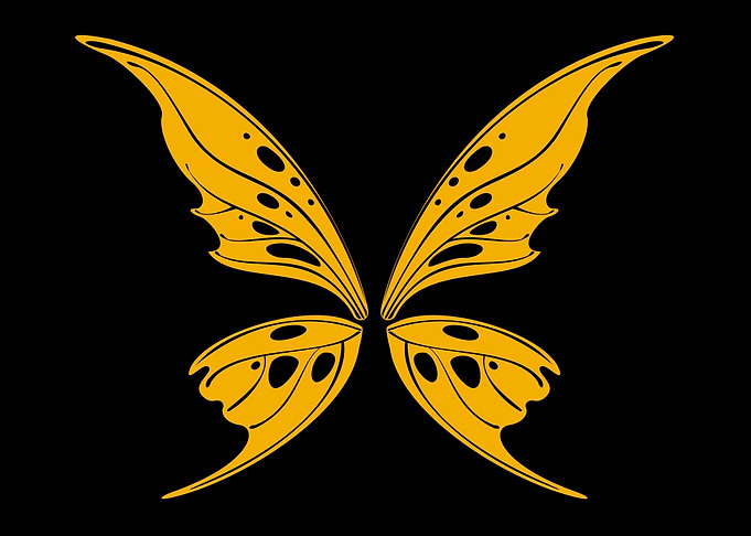 Fairycore Fairy Wings