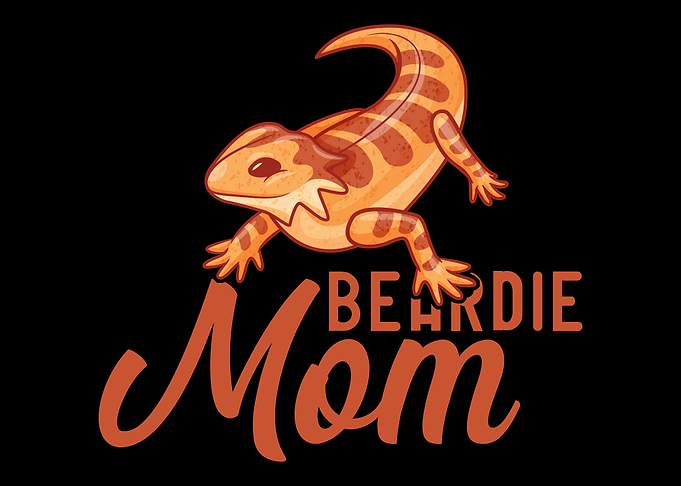 Bearded Dragon Reptile