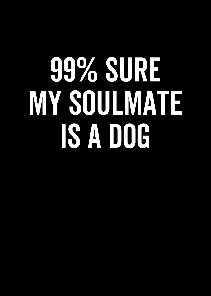 99 Sure My Soulmate is a