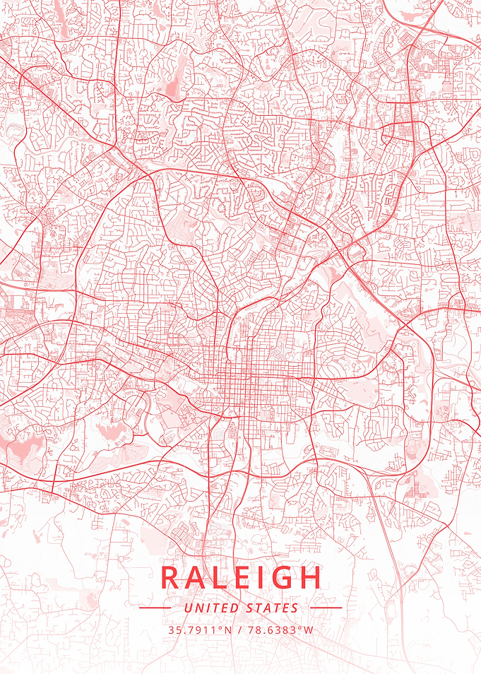 Raleigh United States