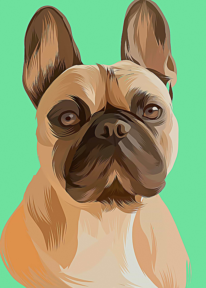 Pet Colorful Art