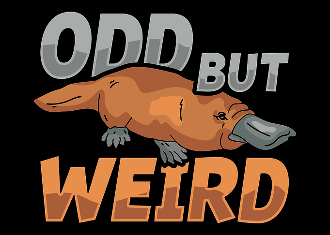 Platypus Animal