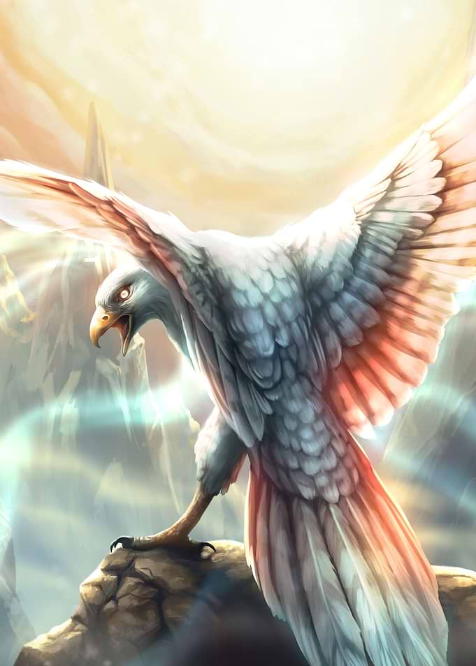 Pearl Hawk