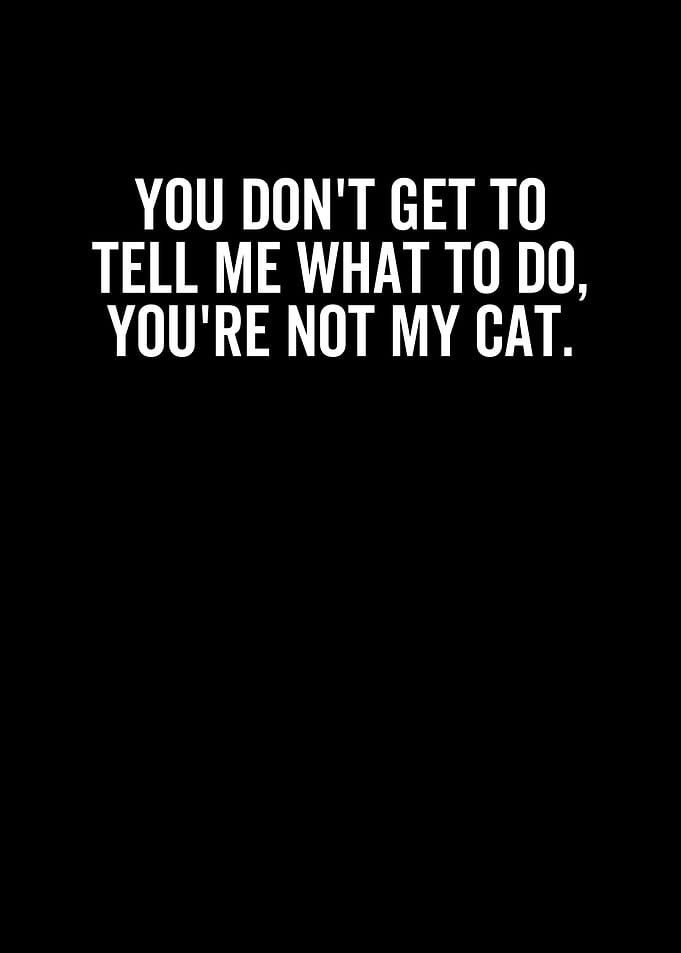 Youre Not My Cat