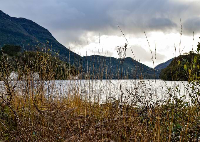 A walk among the reeds