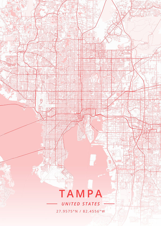 Tampa United States