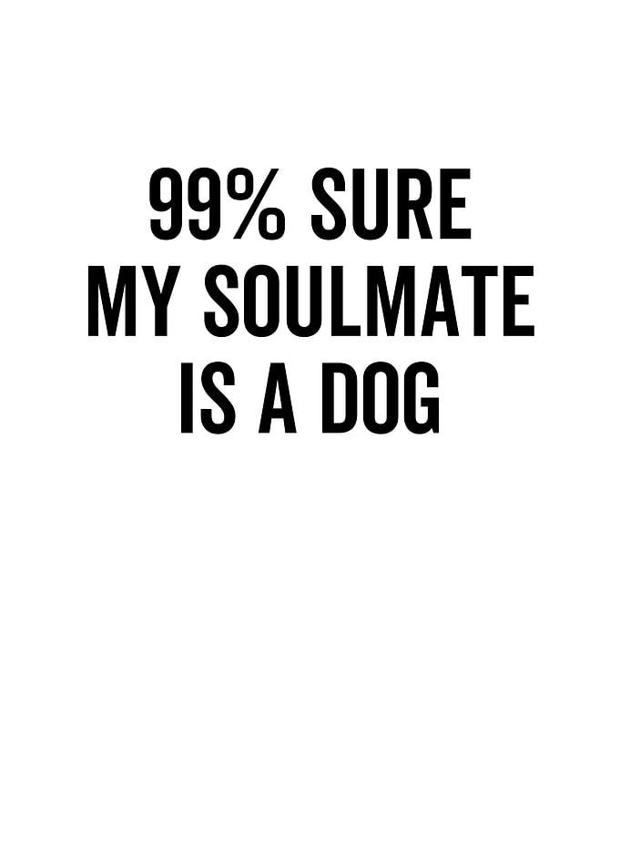 99 Sure My Soulmate is a