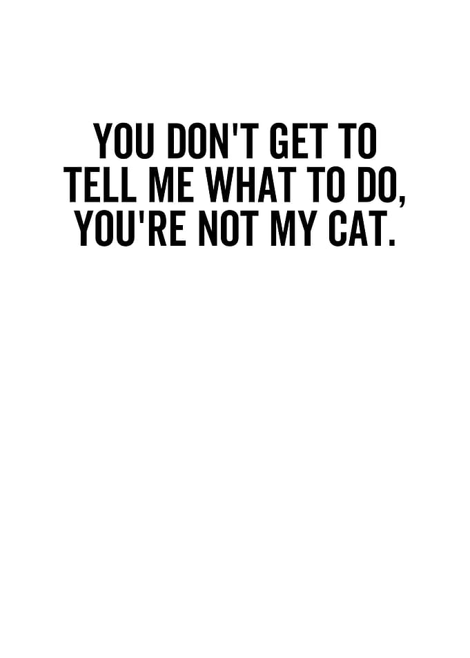 Youre Not My Cat