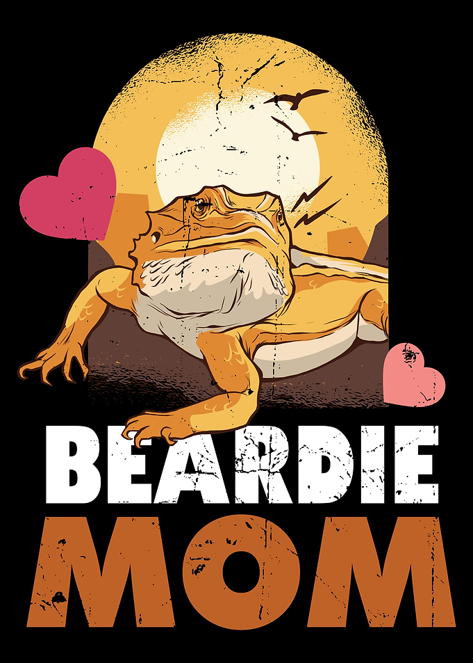 Bearded Dragon Reptile