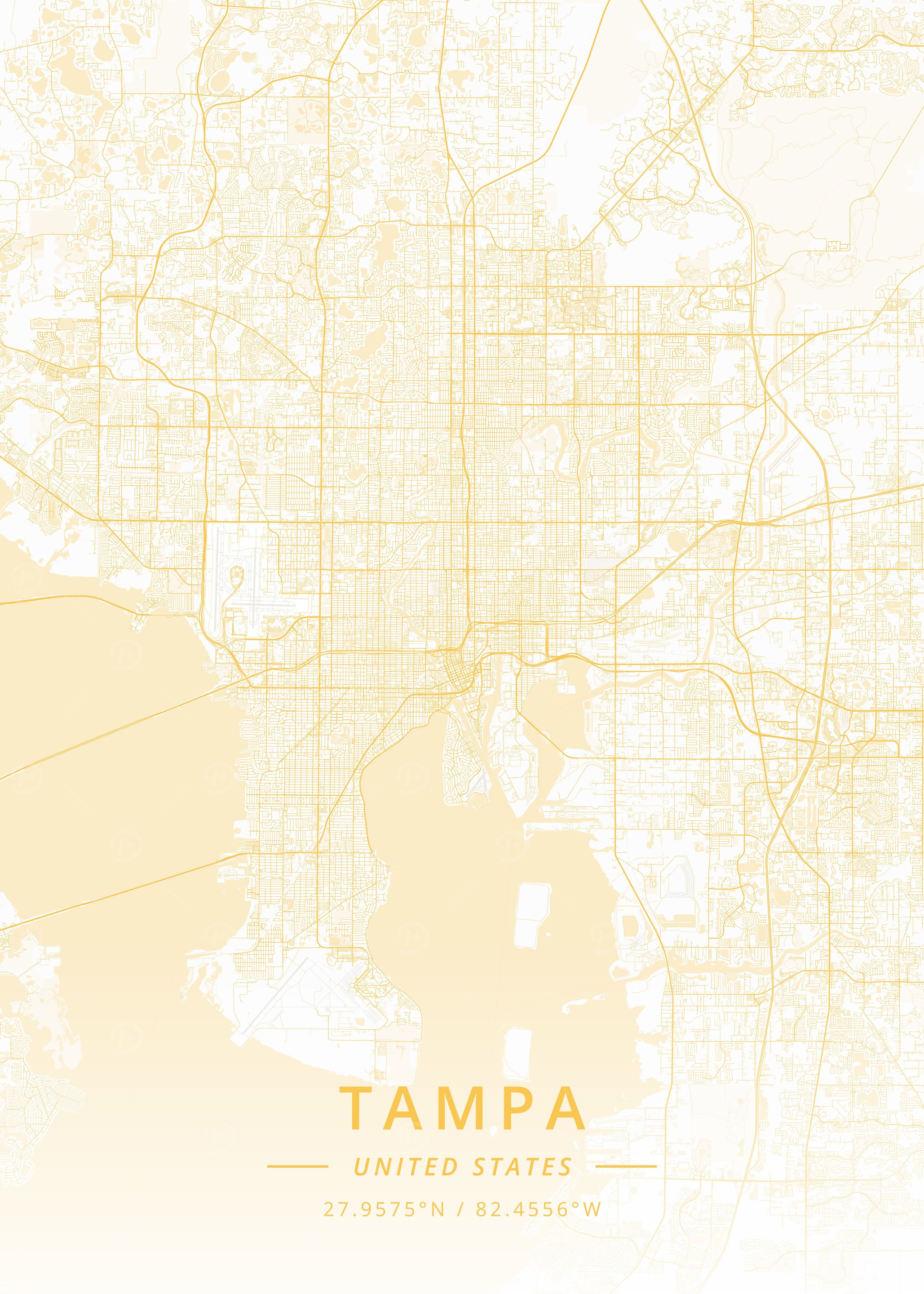 Tampa United States