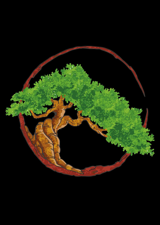 Japanese Bonsai Tree
