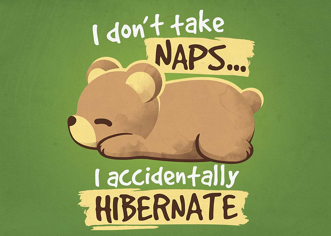 Bear take naps