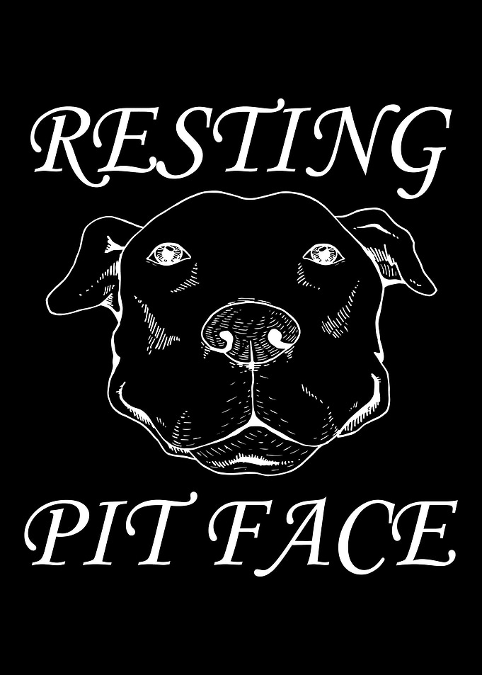 Pitbull Pit Bull Terrier