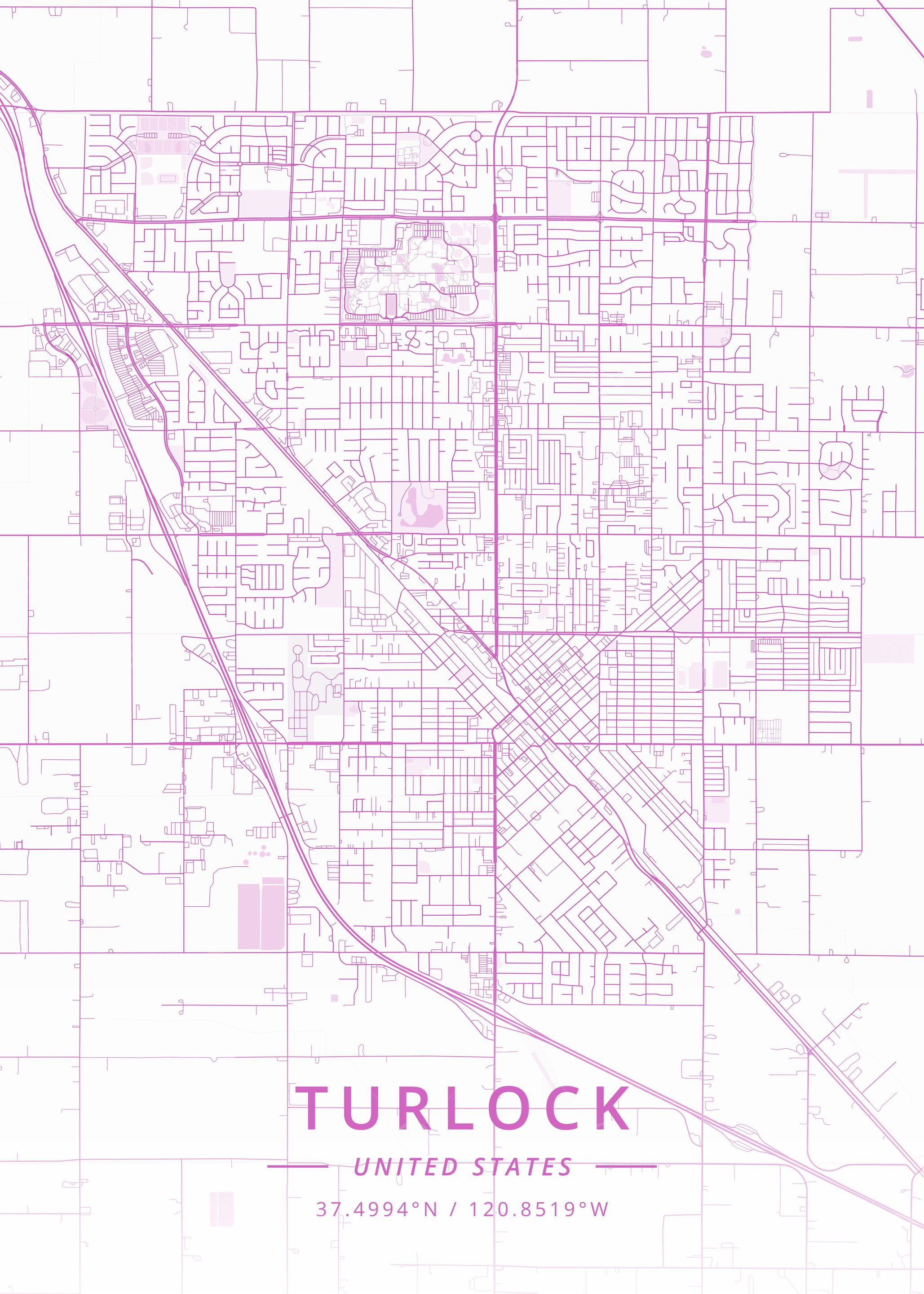 Turlock United States