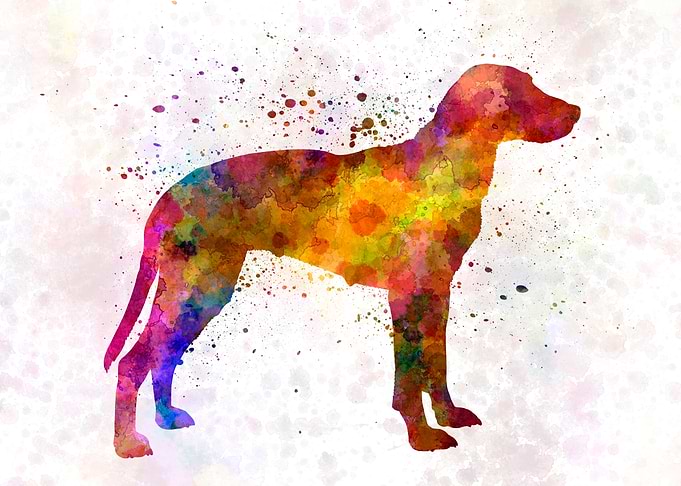 Hygen Hound dog