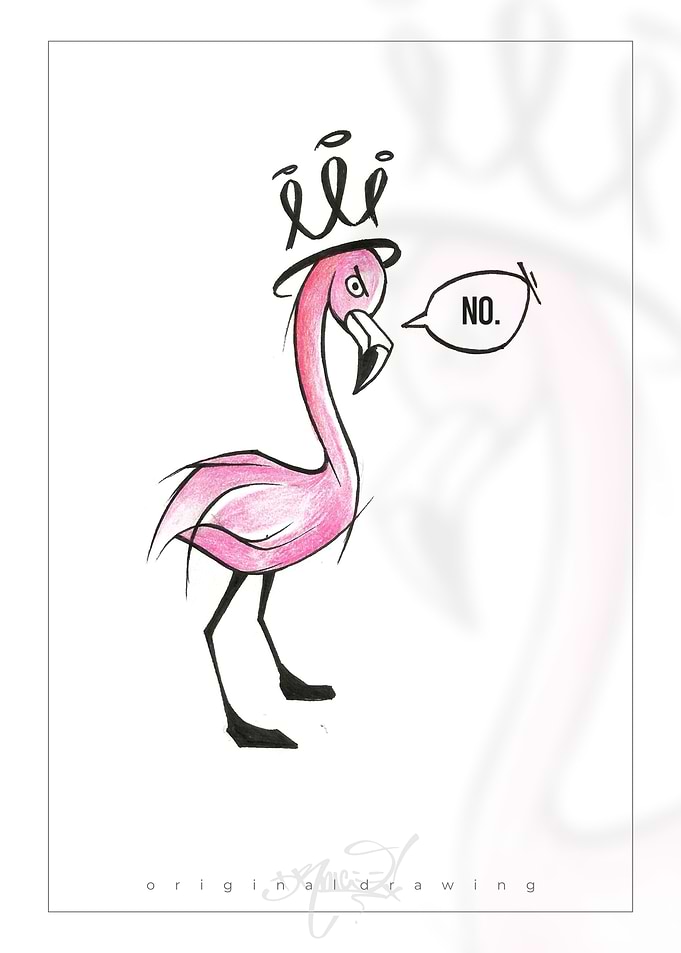 Offended Flamingo