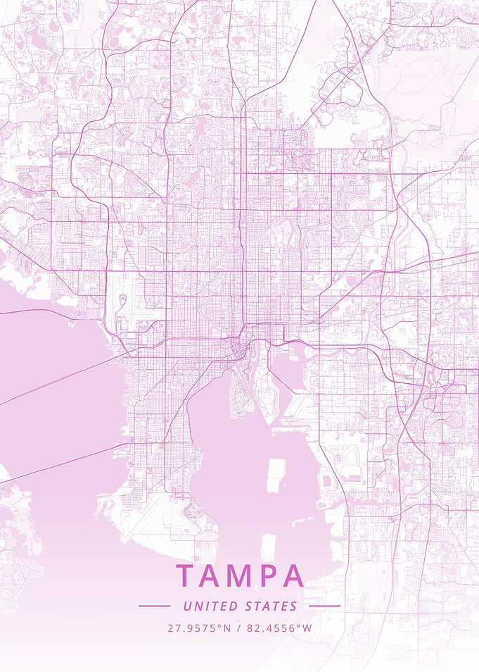 Tampa United States
