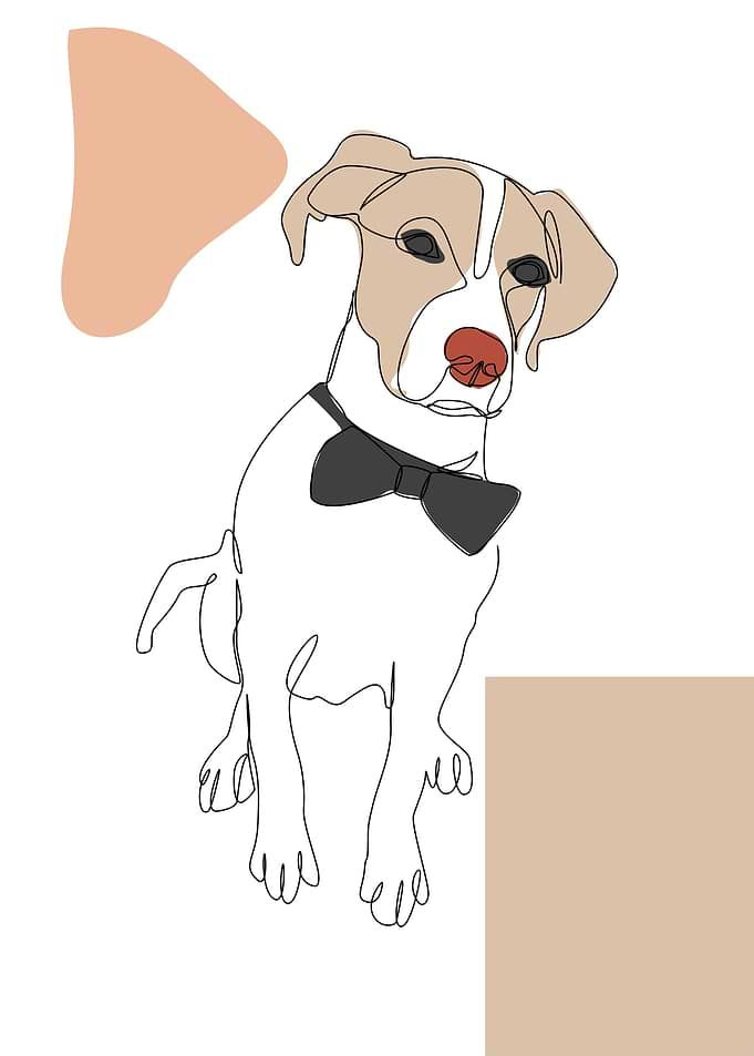 pet artworks 1pet artwork2